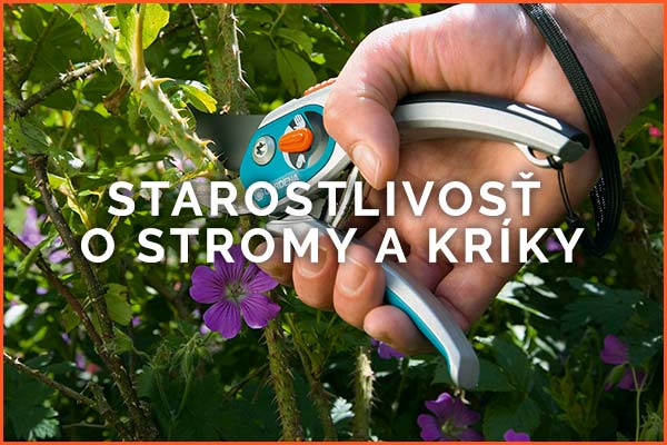 STAROSTLIVOSŤ O STROMY A KRÍKY